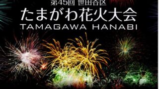 第45回世田谷区たまがわ花火大会(ペアシート) 美味しけれ