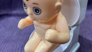 エレベーター閉じ込め　トイレは？