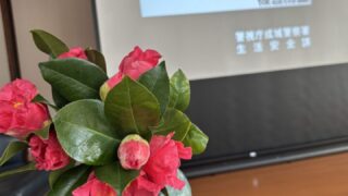 サギはどこから飛んでくる!?